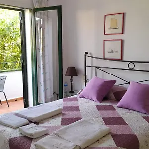 Violeta Palmeres Palafrugell